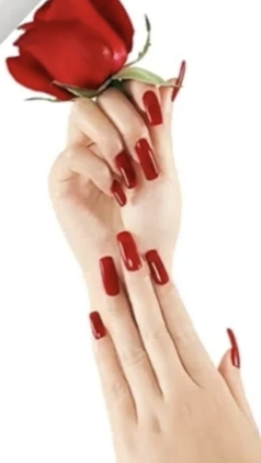 Ela Expert - Fußpflege, Hände & Nägel, Kosmetik - Wunderschön manikürte Hände, rot lackierte Nägel, halten eine rote Rose